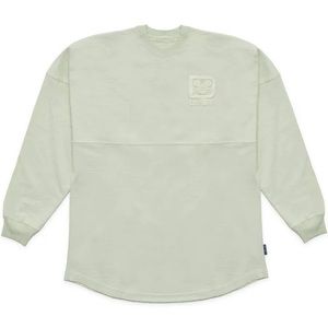 Light Mint Green Adult Walt Disney World Spirit Jersey